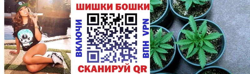 Конопля MAZAR  как найти наркотики  Прокопьевск 